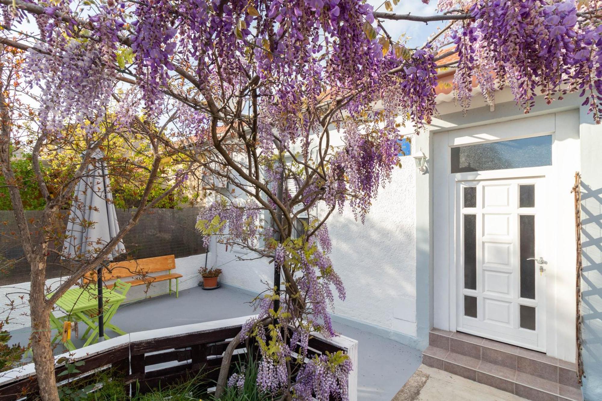 Apartman Ema Zadar Exteriör bild